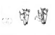 WINDALF Teufelsschmuck Ohrstecker DEVIL 9 mm Kleine Teufel Silber - Windalf.de