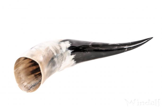 WINDALF Großes Mittelalter Trinkhorn ASGARD 1,25 Liter Wikingerhorn - Windalf.de