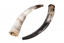 WINDALF Wikinger Rufhorn THORA poliert ca. 50 cm Natur Rinderhorn - Windalf.de