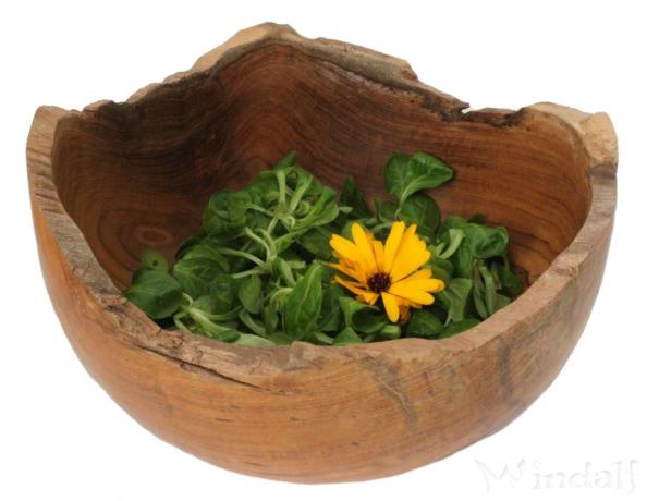 WINDALF Natürliche Obstschale LINDA Ø 25 cm Rustikale Holzschale Handarbeit aus Wurzelholz - Windalf.de