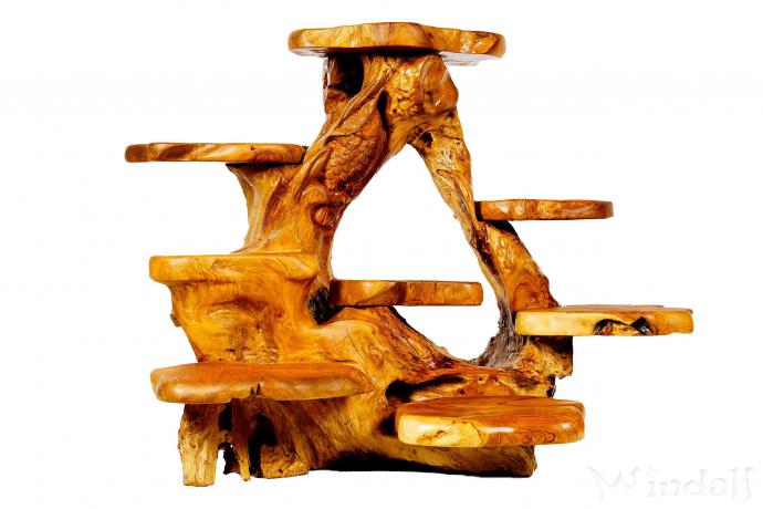 WINDALF Rustikale Blumenbank mit 8 Ablagen BELLAR 115 cm Natur Holzregal mit Eule Handarbeit aus Wurzelholz WINDALF Rustikale Blumenbank mit 8 Ablagen BELLAR 115 cm Natur Holzregal mit Eule Handarbeit aus Wurzelholz - Windalf.de