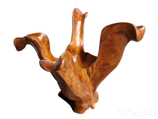 WINDALF Hohe Holzschale LILLY 57 cm Rustikaler Obstschale Unikat Handarbeit aus Wurzelholz - Windalf.de